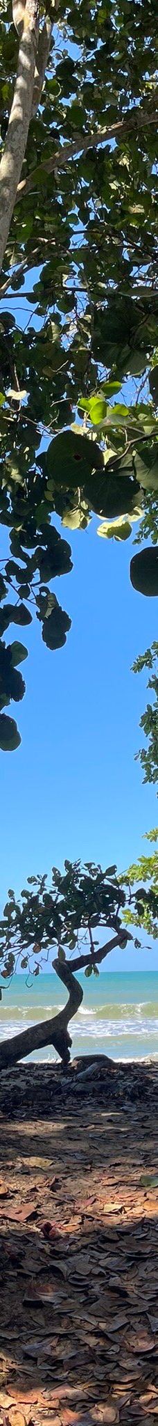 卡维塔国家公园-Talamanca