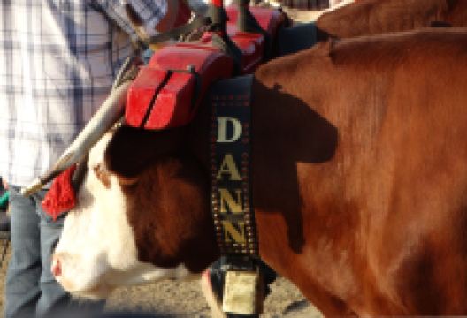 Acadian Museum景点图片