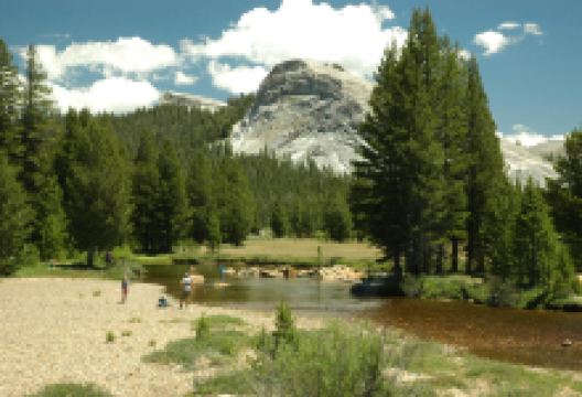 Parsons Memorial景点图片