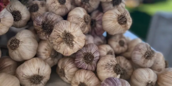 Metcalfe Farmers' Market