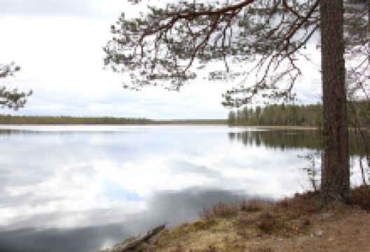Kulhanvuori Hill Nature Reserve景点图片