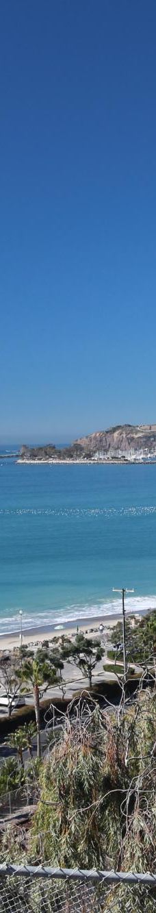 Pines Park-达纳点