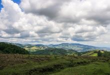 La Reserva Nacional Forestal Bosque de Yotoco景点图片