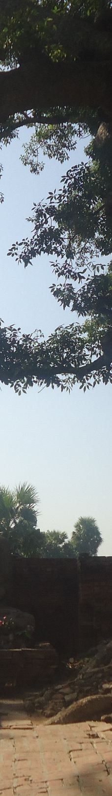 Yadana Hsemee Pagoda-皎施