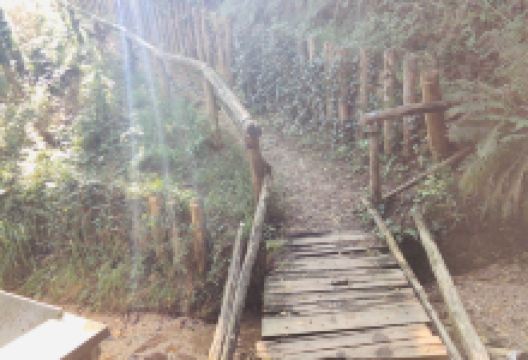 Buso della Casara a Valnogaredo景点图片