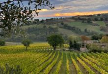 Azienda Agricola Lucarelli Roberto景点图片