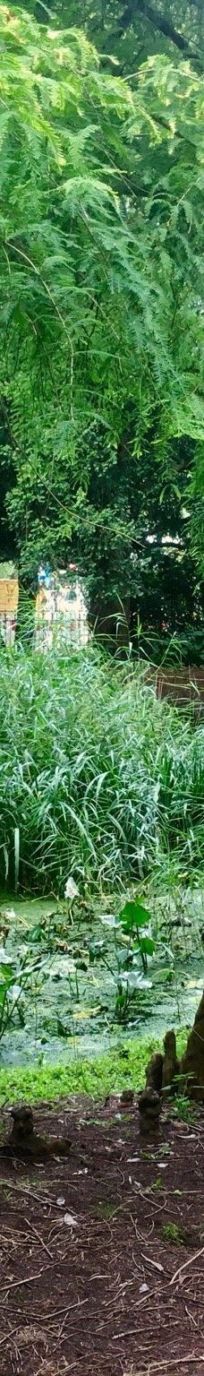 Alter Botanischer Garten-基尔