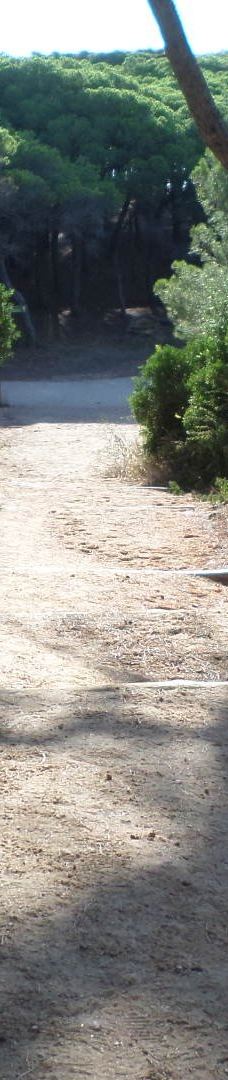 Cala Sa Conca-卡斯特利-普拉特哈达罗