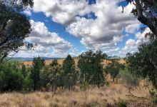 Myall Creek Massacre Memorial Walk景点图片