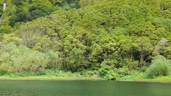 Poco da Ribeira do Ferreiro