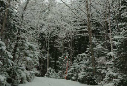 Tsurumi Pass景点图片