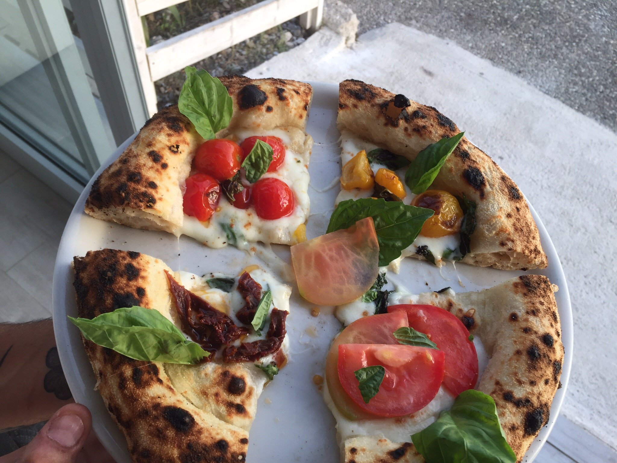 Delphinia Beach Club