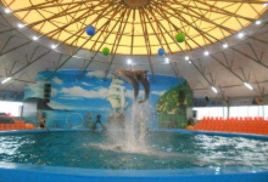 Dolphinarium Nemo景点图片