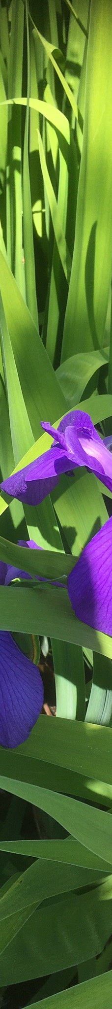 Kræmmerhuset kunsthåndværk-伦讷