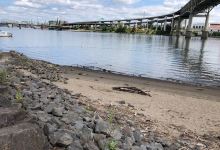 Poet's Beach景点图片