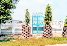SatyaPrakash Sir Memorial Park景点图片