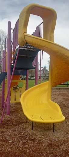 Swanson Park-奥尔巴尼