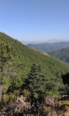 Paraje Natural Los Reales de Sierra Bermeja-Serrania de Ronda