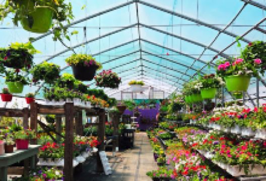 Lavender Hill Nursery购物图片