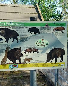 Wildgehege Marienhölzung-弗伦斯堡