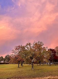 Drummond Apex Lookout-阿米代尔