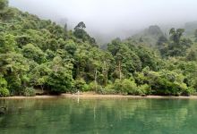 Kumutoto Bay景点图片