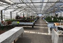 Norrlöts Handelsträdgård AB购物图片