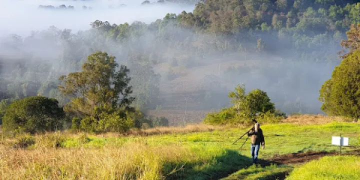 Mebbin National Park