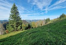 Schnebelhorn Spitze景点图片