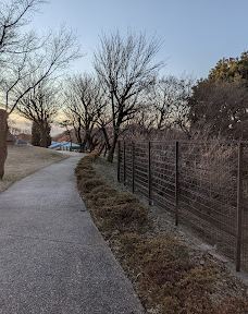 本町田遗迹公园-町田市