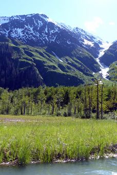 奇尔卡特河-海恩斯自治市镇