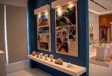 Akamas Geology and Paleontology Information Centre景点图片