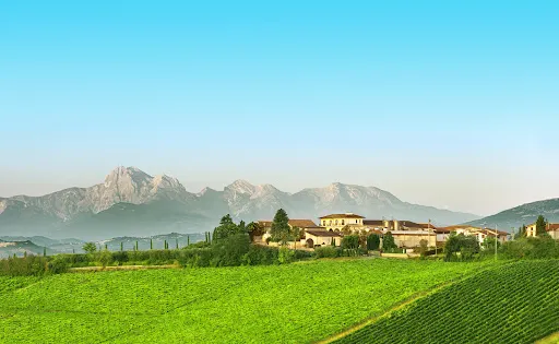 Azienda Agricola Dino Illuminati