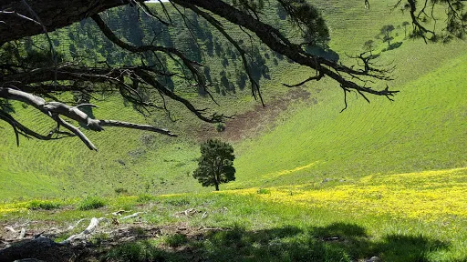 Mount Noorat
