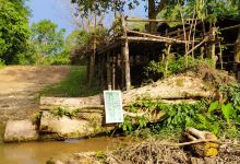 Tham Kang Cave景点图片