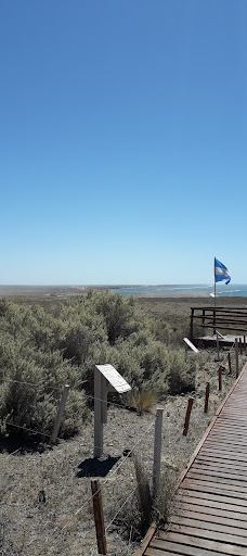 Caleta Valdés-别德马