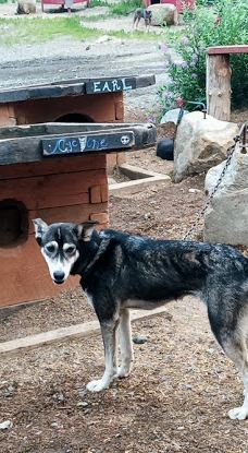Husky Homestead-麦金利帕克