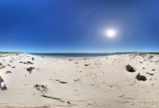 Kangaroo Point景点图片