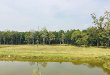 Gujara Fun Park(Rautaha)景点图片