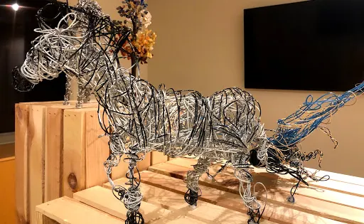 Coral Springs Museum of Art
