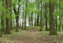 Donnersberg. Kapelle景点图片