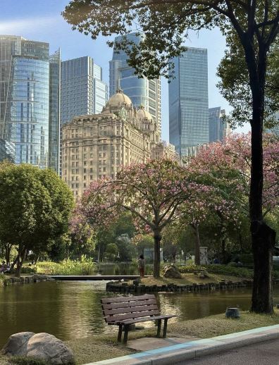 花城广场景点图片 21