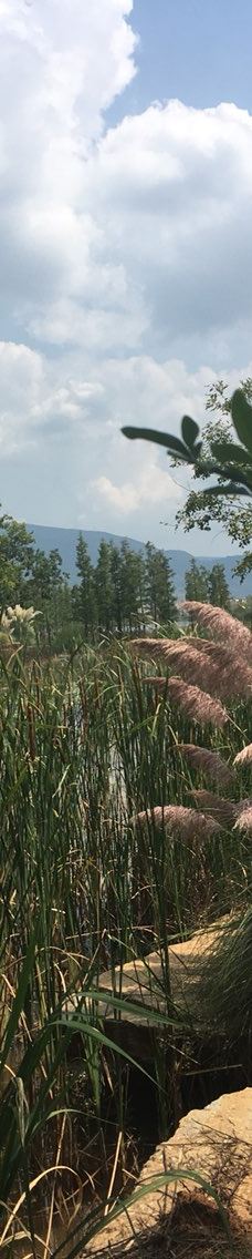黄草洲国家湿地公园-泸西