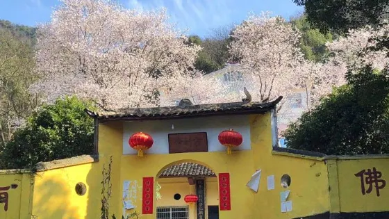 方竹寺