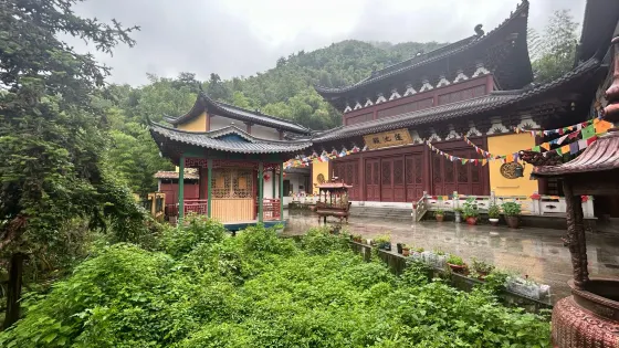 凈心寺