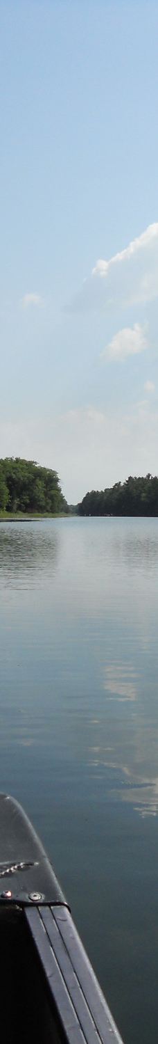 Pinery Provincial Park-大本德