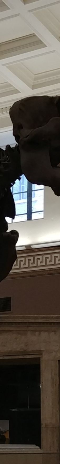 布法罗科学博物馆-布法罗