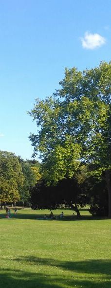 Parc de Champagne-兰斯