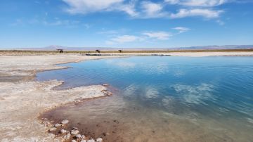 Laguna Cejar