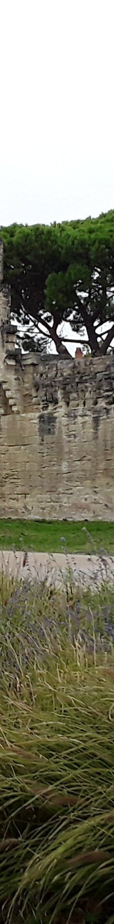 共和大道-阿维尼翁